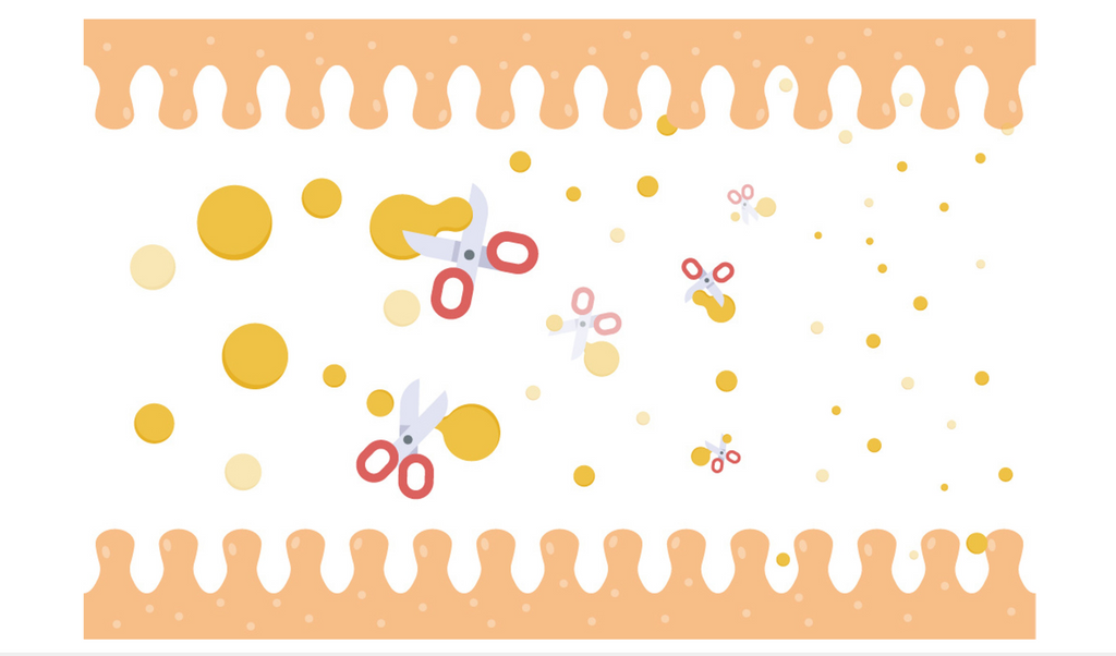 Protein Terhidrolisis Sebagai Solusi Utama untuk Alergi