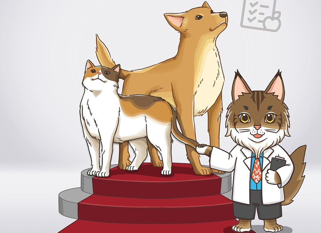 Bikin Anabul FIT! bukan FAT!