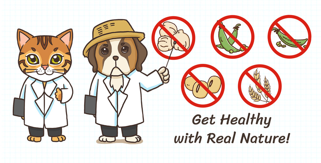 Kata ahli gizi kami: kami tidak menggunakan kedelai, gandum dan legumes (kacang polong)