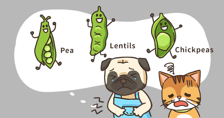 Makanan Grain-Free Mengakibatkan Penyakit DCM!